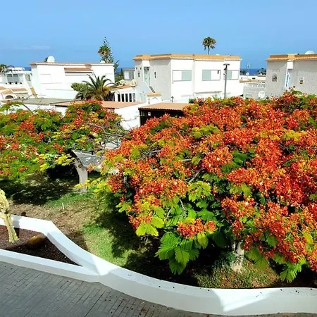 Tenerife Americas Bungalow Apartment *